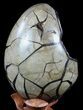 Septarian Dragon Egg Geode - Black Crystals #56401-2